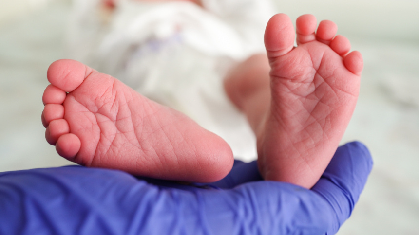    Фото: ИЗВЕСТИЯ/Анна Селина