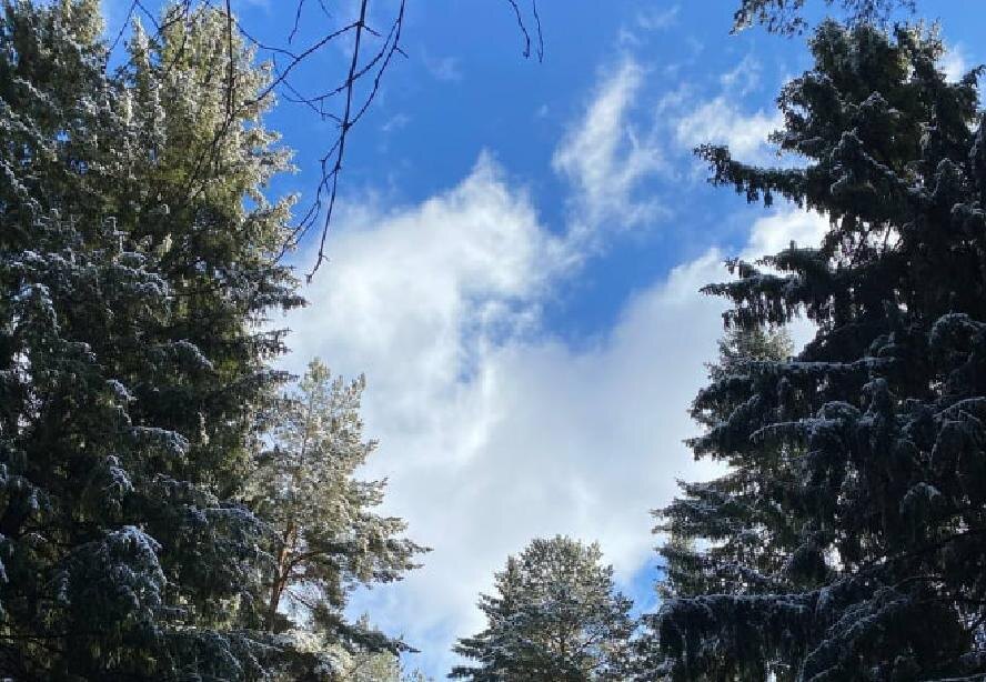    © Министерство природных ресурсов, лесного хозяйства и экологии Пермского края