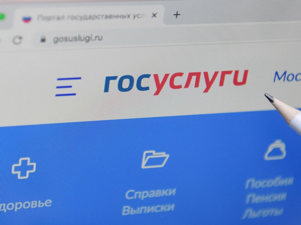    Справочно-информационный интернет-портал Госуслуги | © РИА Новости / Владимир Трефилов