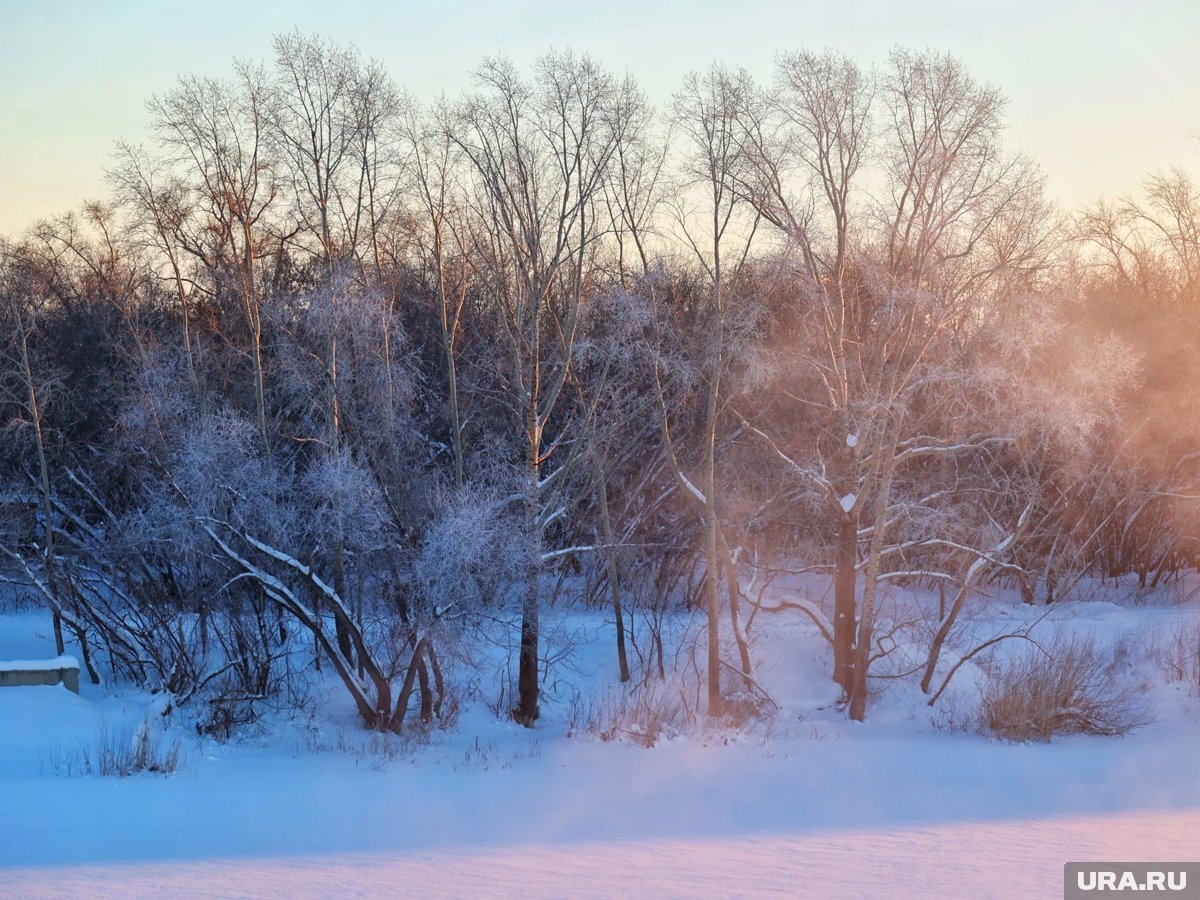     Школьников Кургана перевели на дистанционное образование из-за погоды