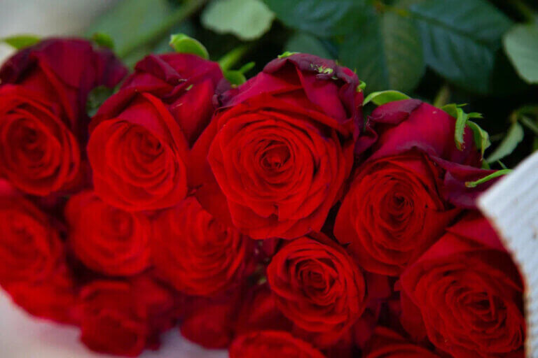    Фото: Общественная Служба Новостей Марта Леви