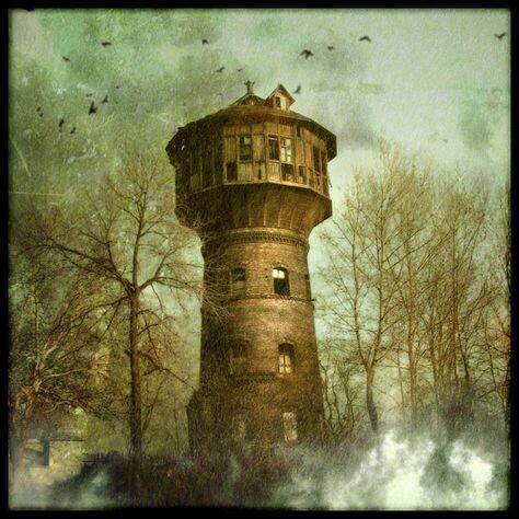 Изображение взято из открытых источников интернета. 