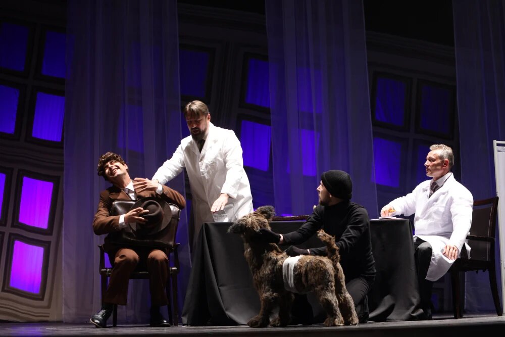    Спектакль "Собачье сердце" в БКЗ, © с сайта филармонии