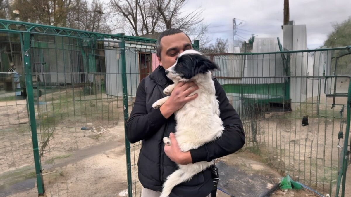 Фото: кадр видео телеграм-канала "Зефирыч"