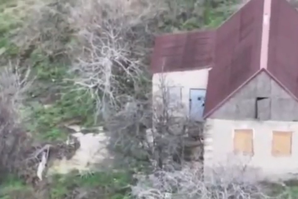    Фото: скриншот