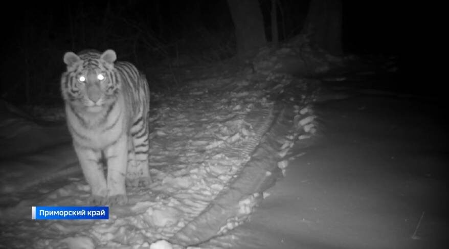    Источник фото: