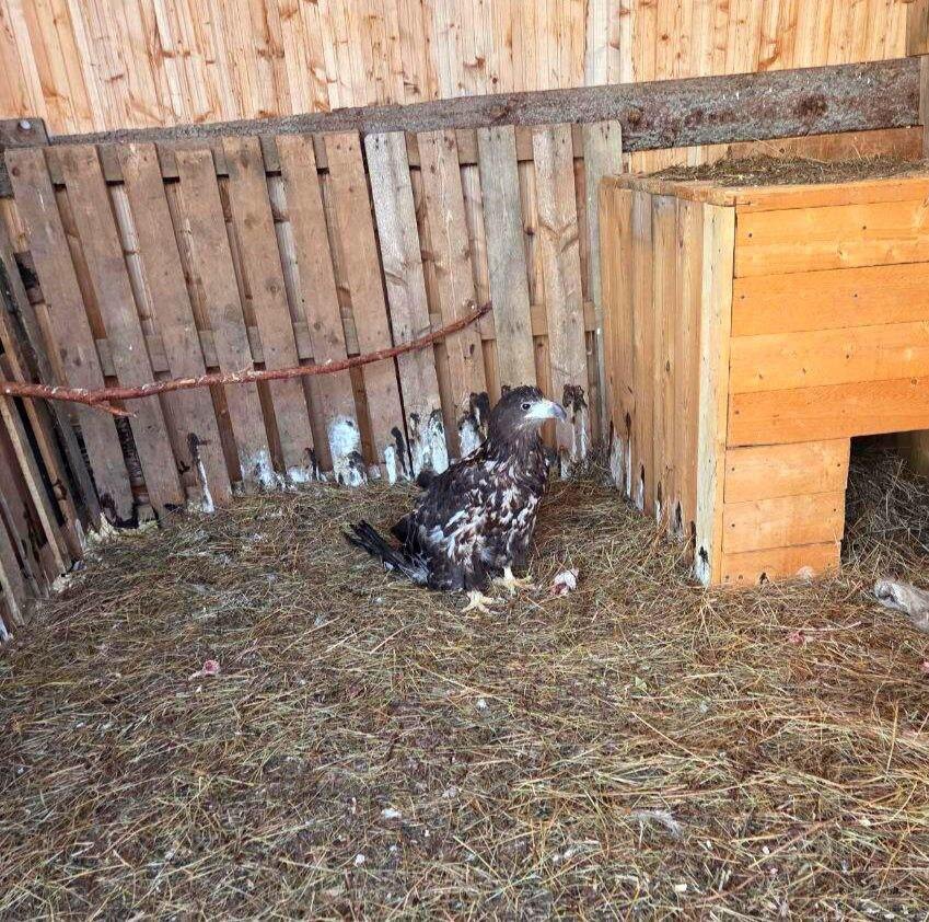    © Прокуратура Пермского края