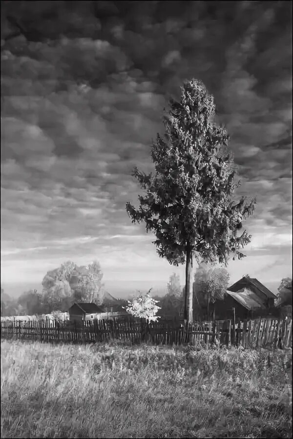 Взято из открытых источников интернета Яндекс.