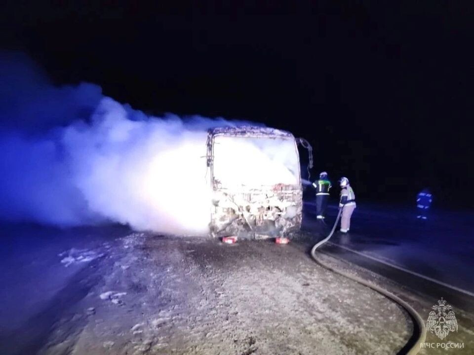    Пожар на трассе в Топчихинском районе. Источник: ГУ МЧС по Алтайскому краю