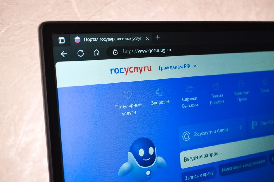    Аферисты крадут данные под предлогом якобы диагностики Госуслуг. Даниил ОПАРИН
