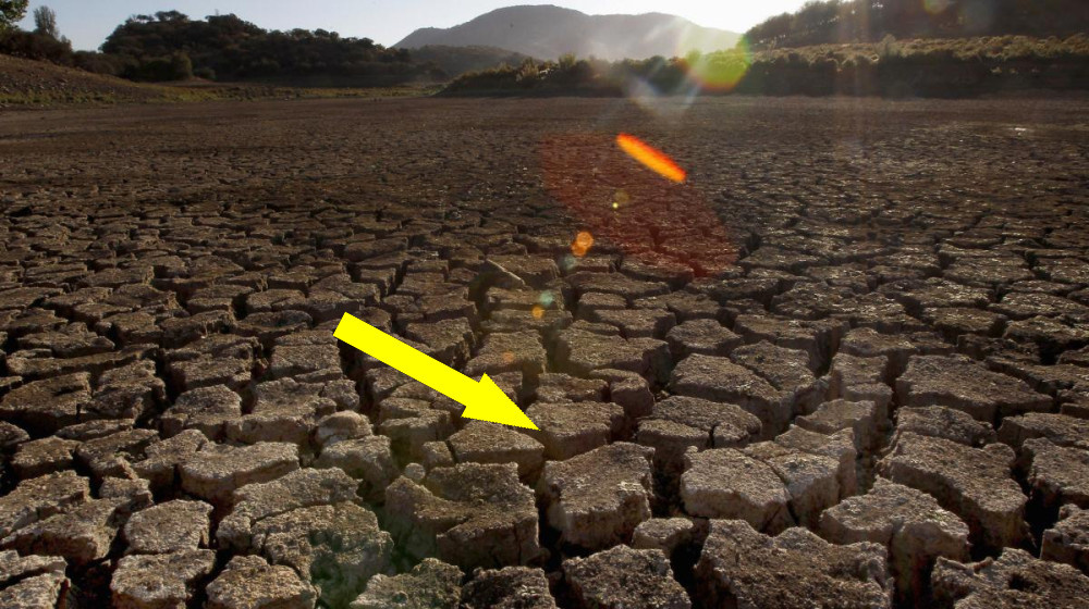    Земля на грани катастрофы — ученые раскрыли страшные последствия