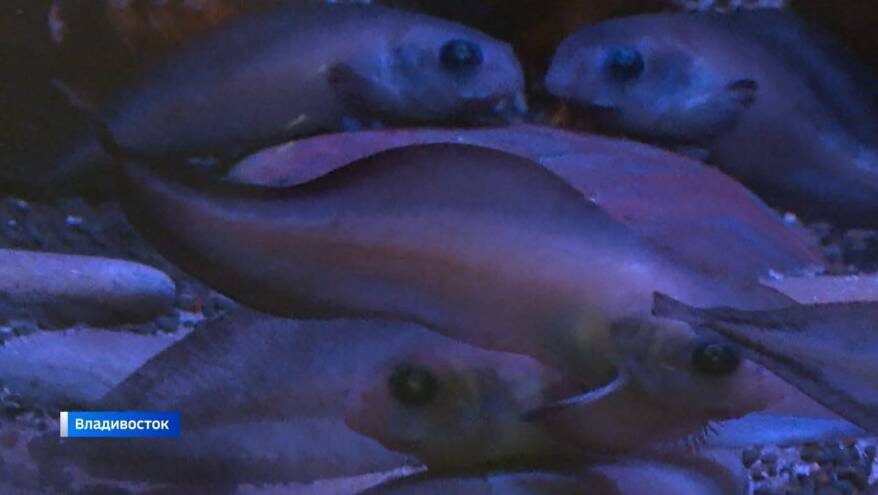    Источник фото: