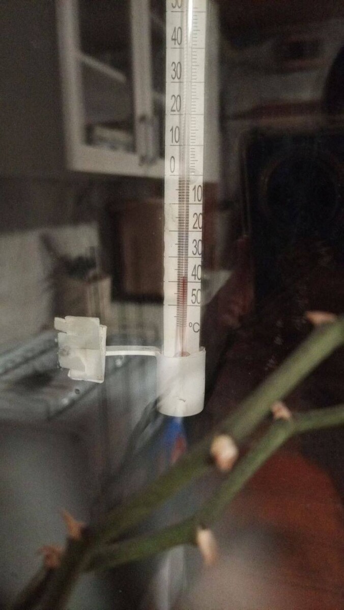    Мороз в Алтайском крае. Источник: "В курсе 22"