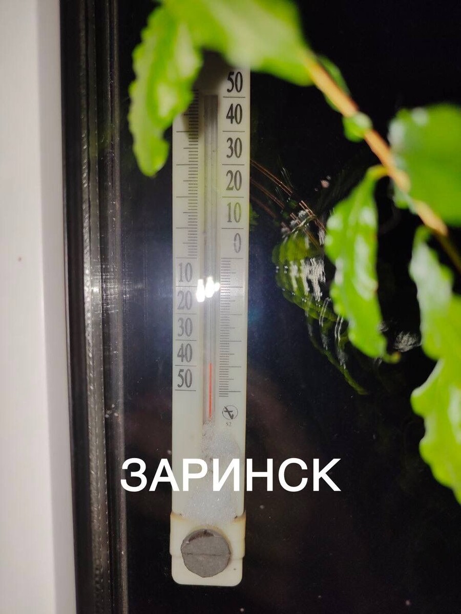    Мороз в Алтайском крае. Источник: "В курсе 22"