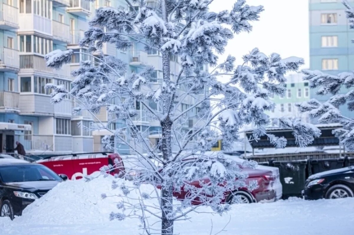    В Новосибирске ввели режим «чёрного неба» из-за лютых морозов