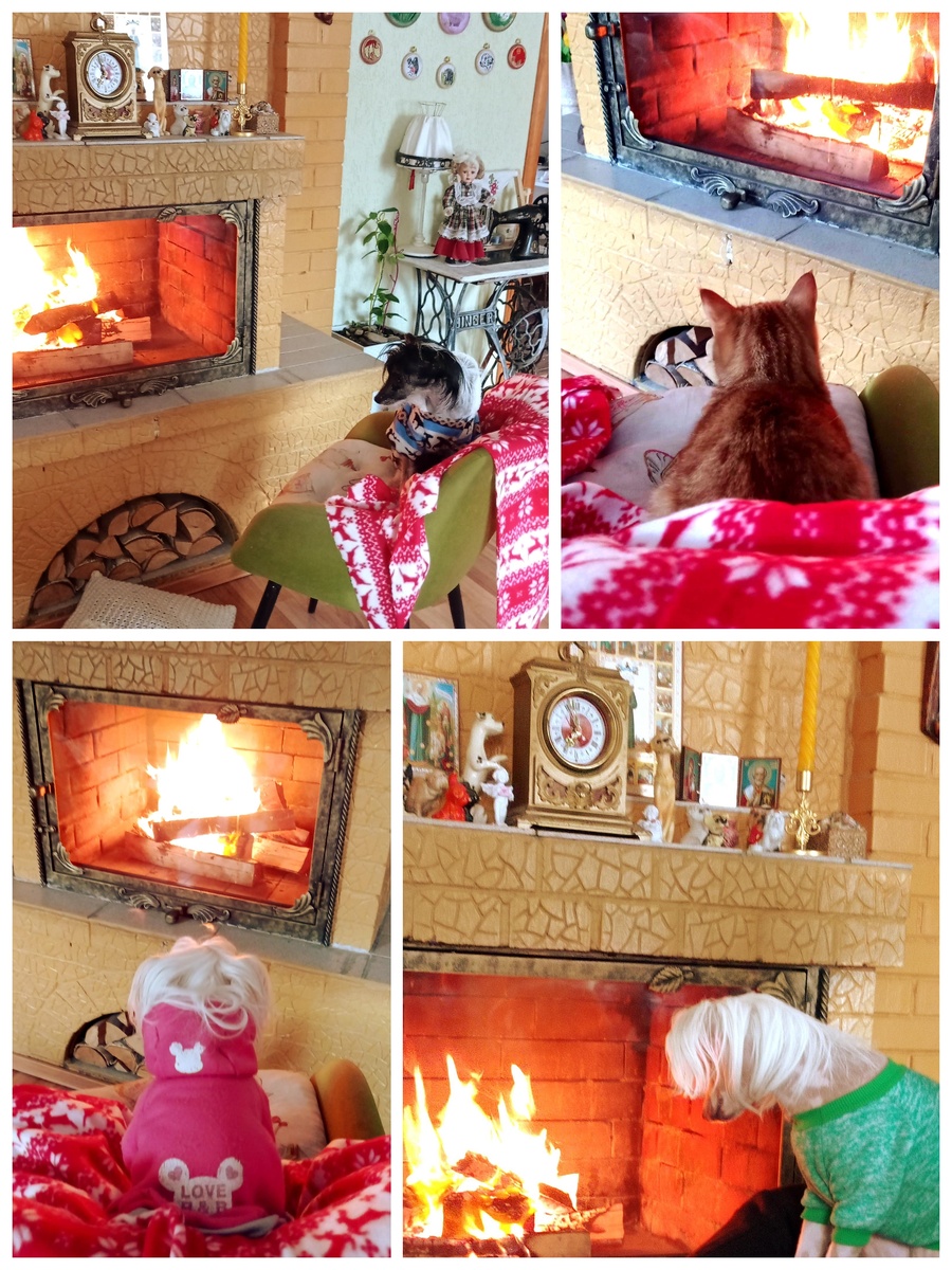 Вот такие наблюдатели наши.