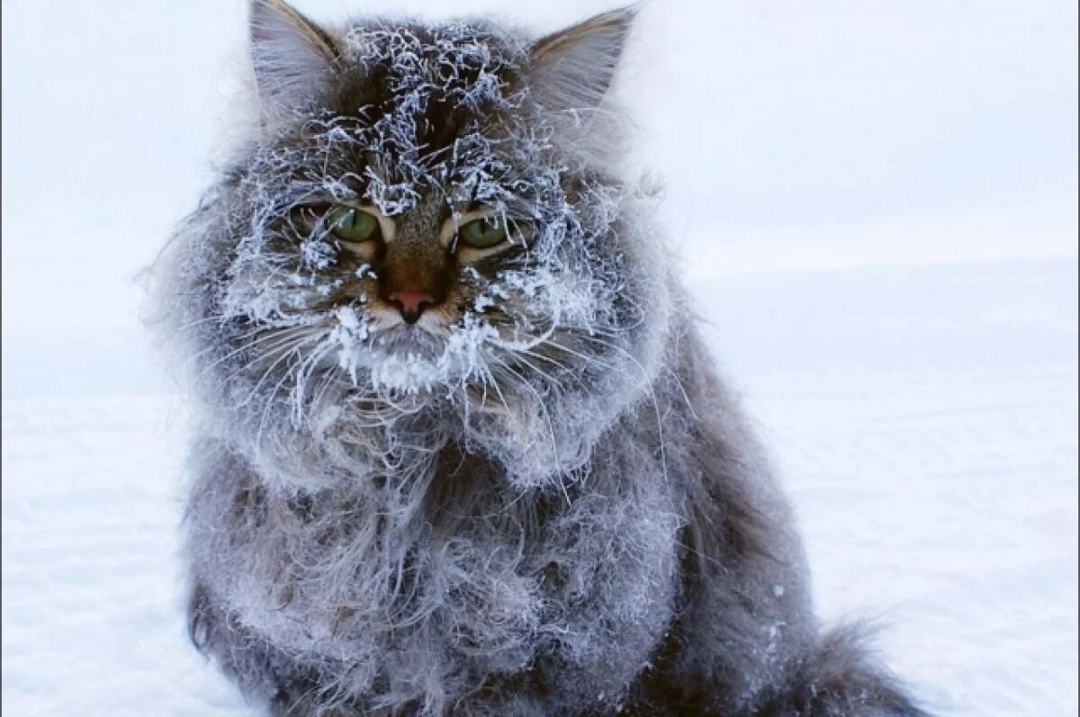    В Башкирии ожидаются морозы до -30 градусов