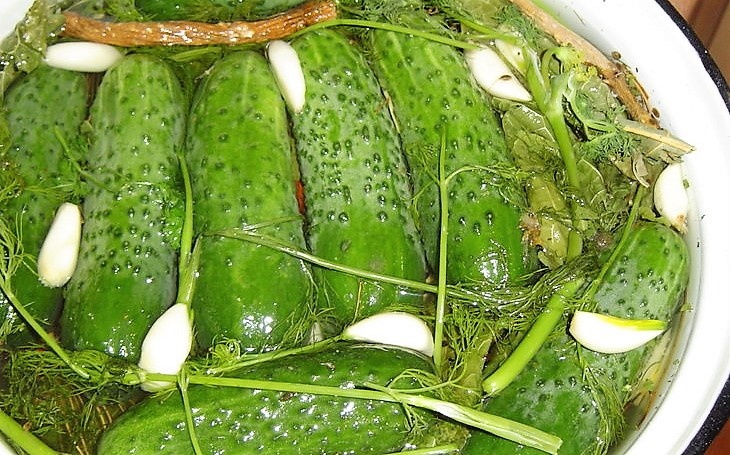 Рецепт малосольных огурчиков