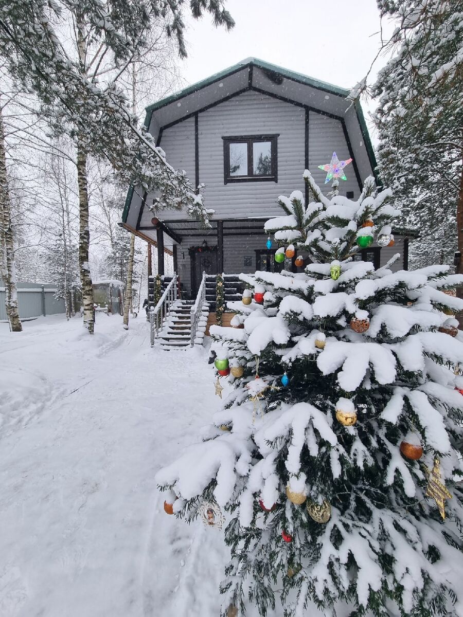Наш дом под Питером