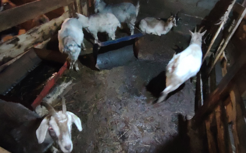    Инна Болучевская / ВК