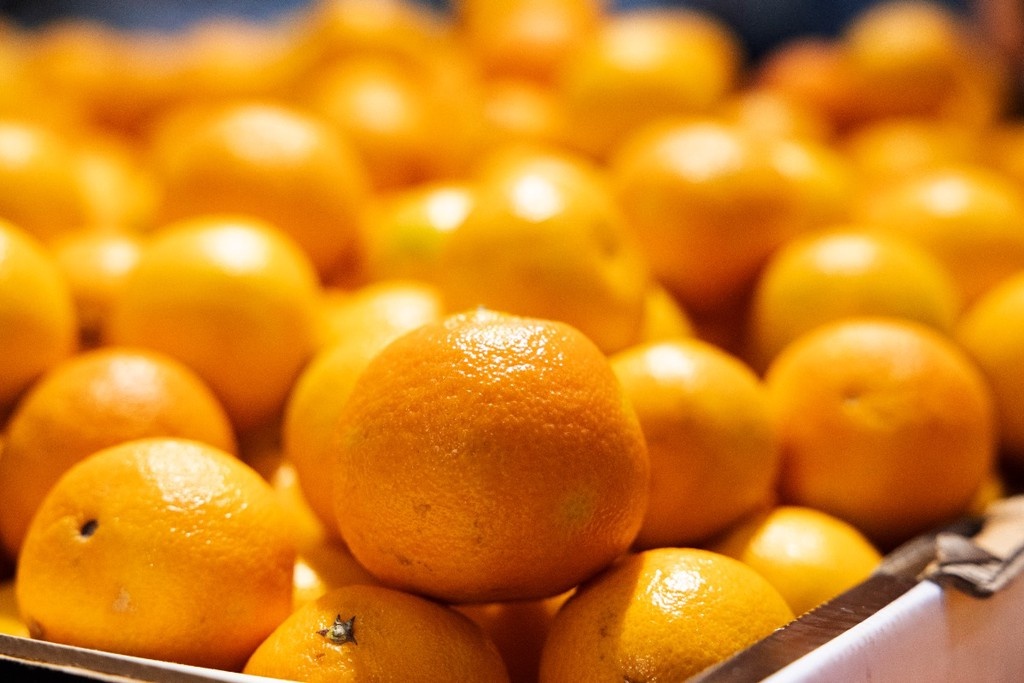    Фото © Владимир Андреев / Абзац