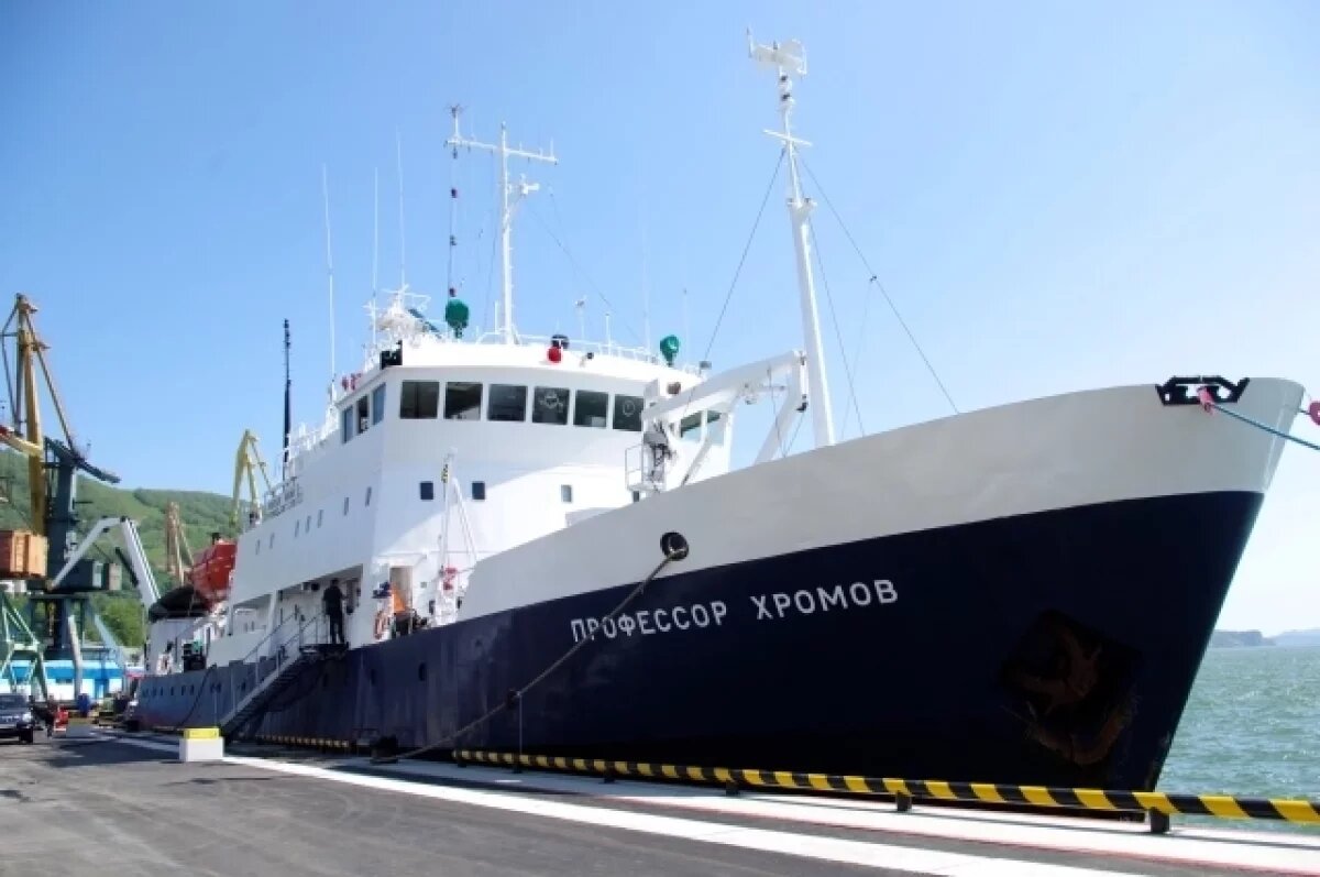    Камчатка включена в программы нескольких морских круизов