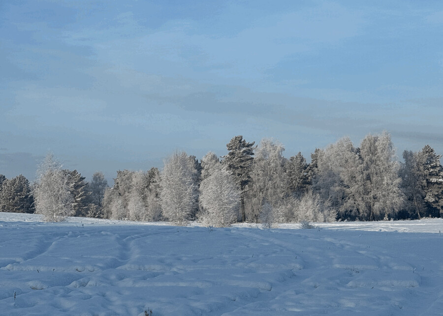 Вероника Васильева