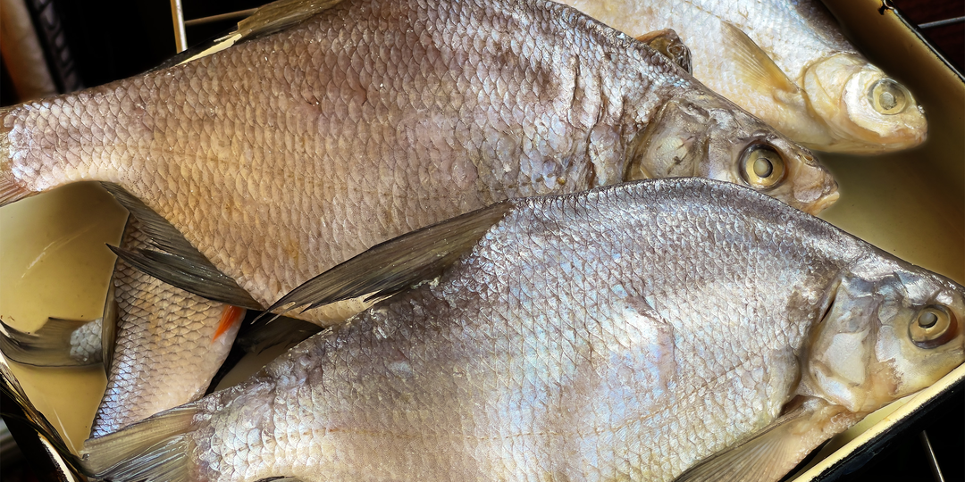 Рыба сухого посола: Рецепты и тонкости приготовления