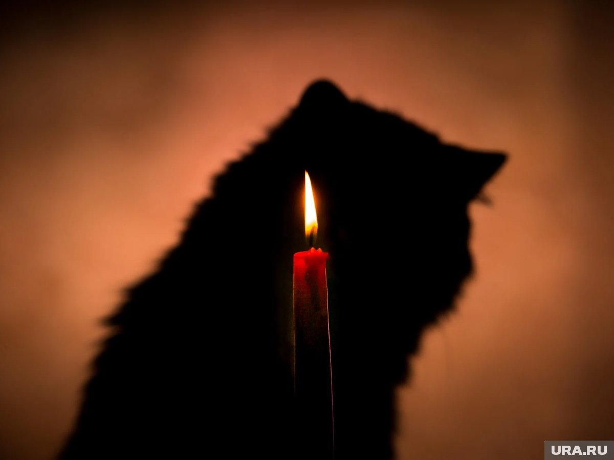     Религиовед назвал гадание богопротивным занятием