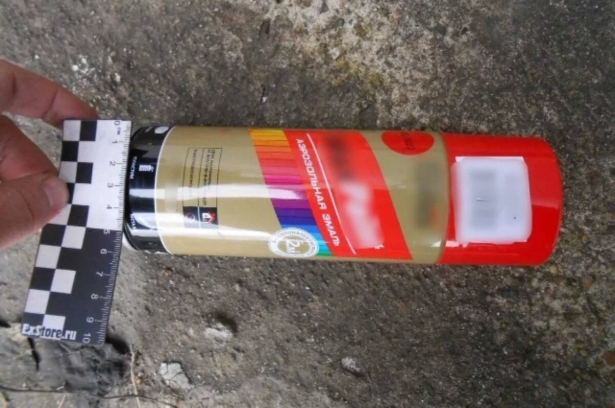    В Хабаровском крае молодой «художник» предстанет перед судом за рекламу