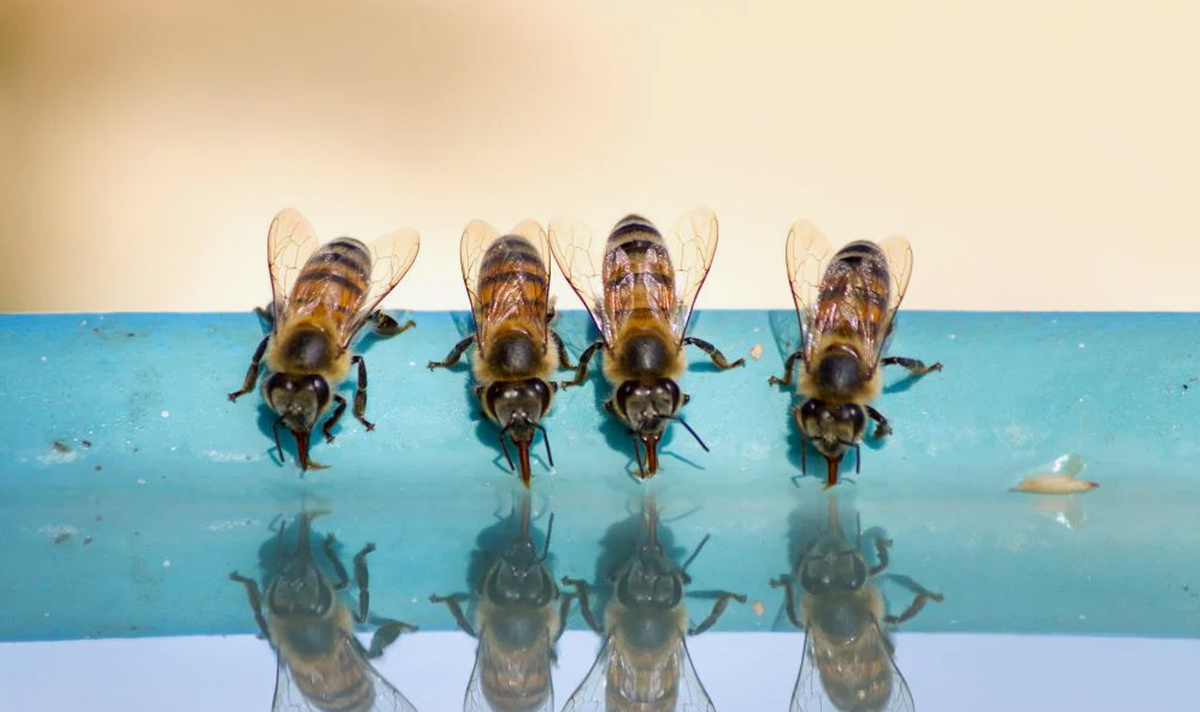 фото просто для примера