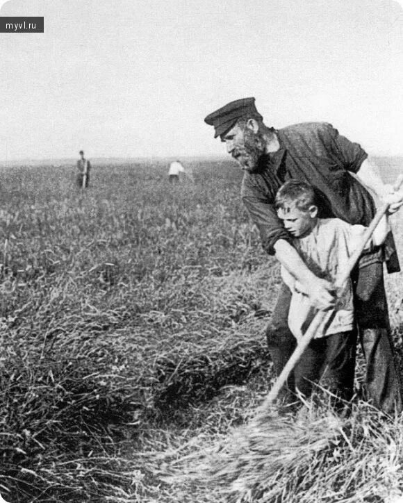 Взято из открытых источников интернета Яндекс.