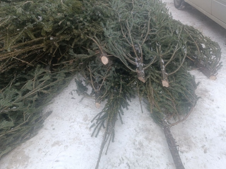     ФОТО: АДМИНИСТРАЦИЯ ТОМСКОЙ ОБЛАСТИ