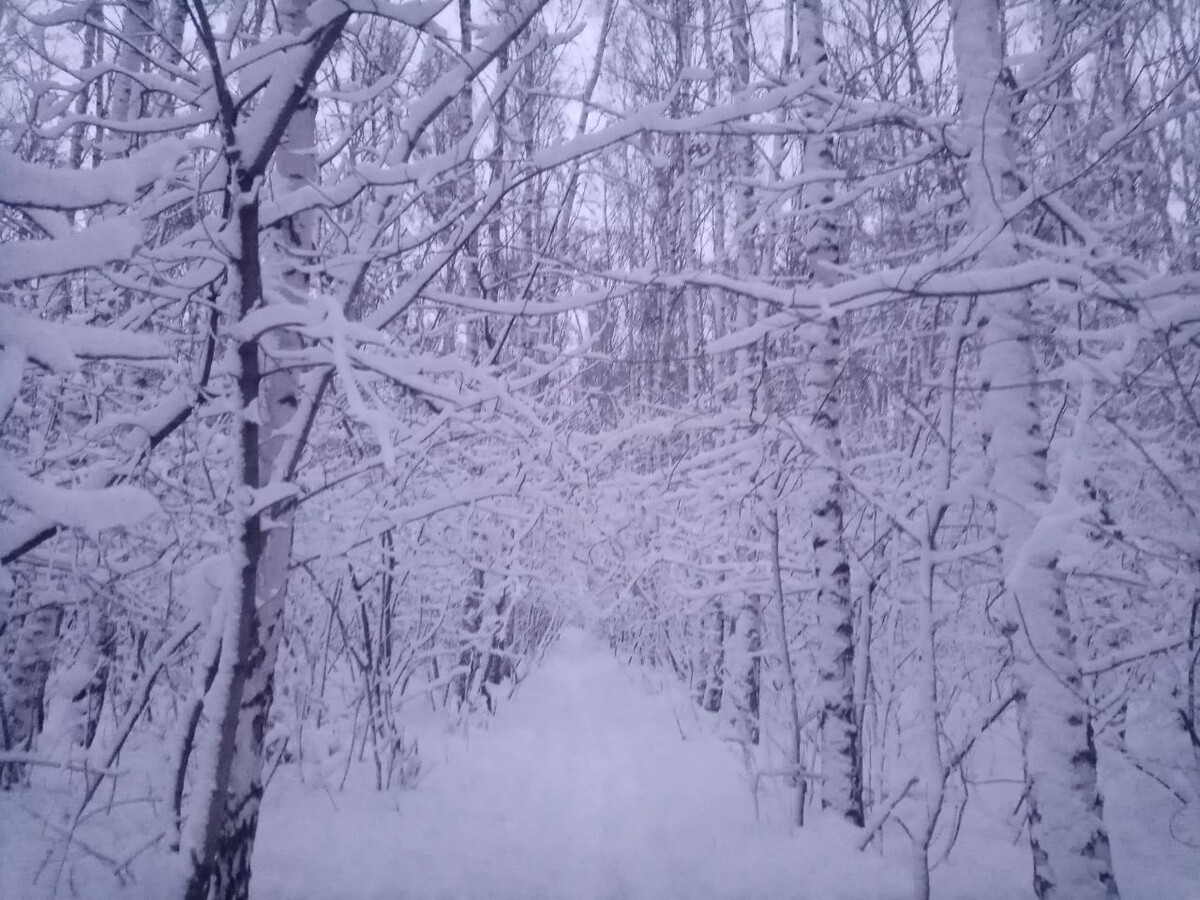 Что то из Нарнии будто