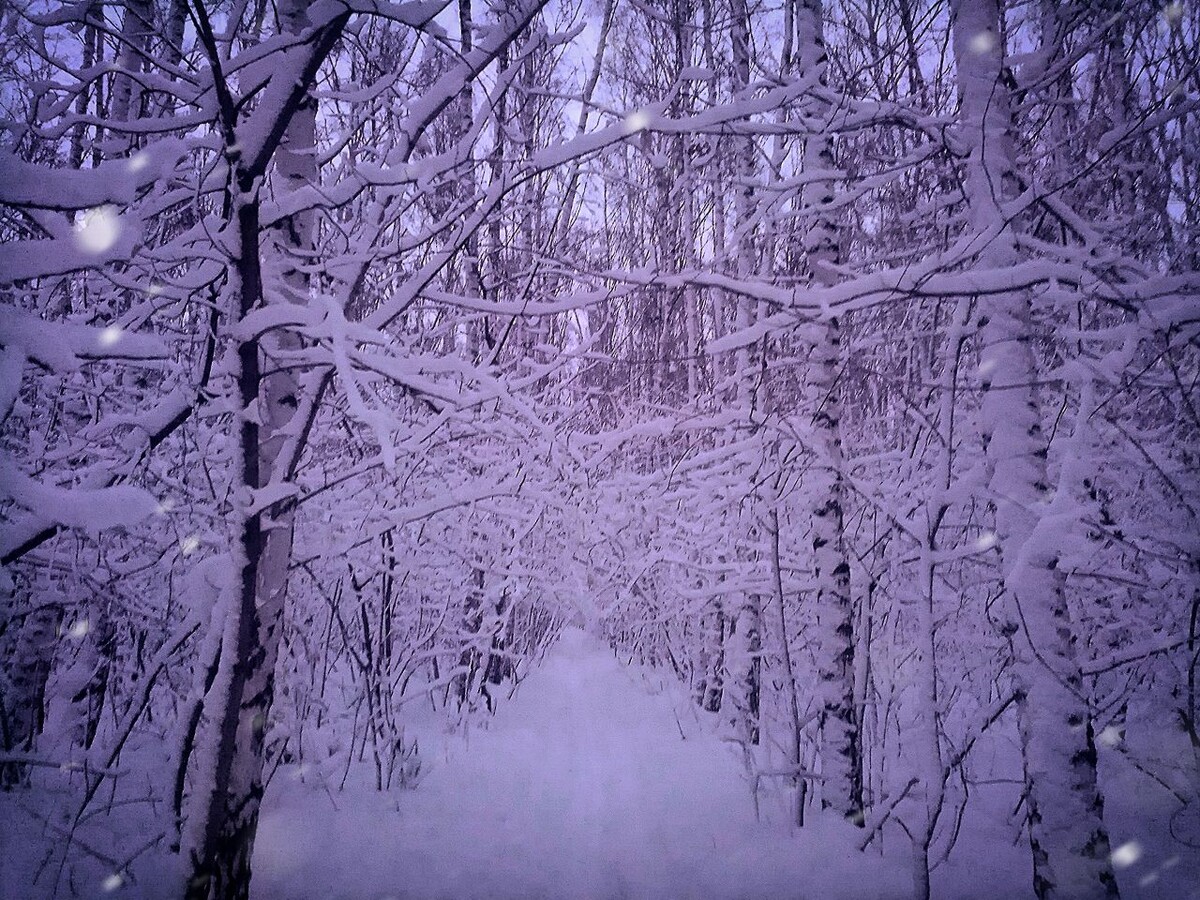 попытка создать вайб 2