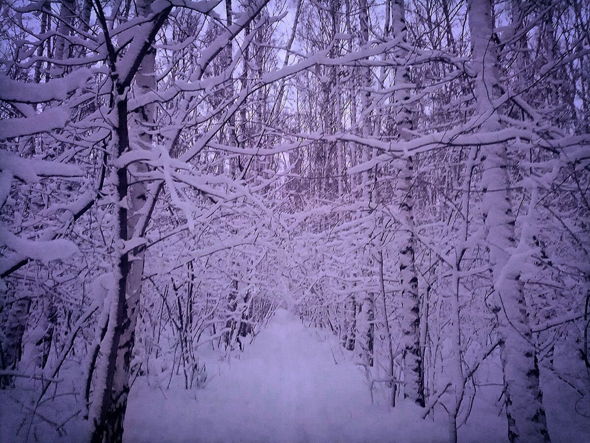 попытка создать вайб 1