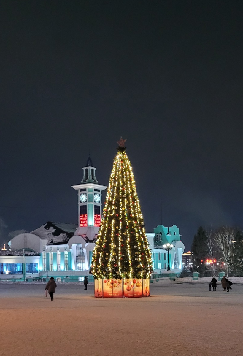 Решила, что все мои статьи об этой поездке будут с новогодними ёлками.