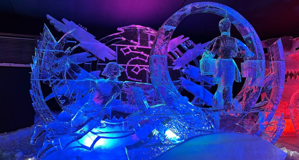     Алина Сергеева, Государственный музей истории Санкт-Петербурга