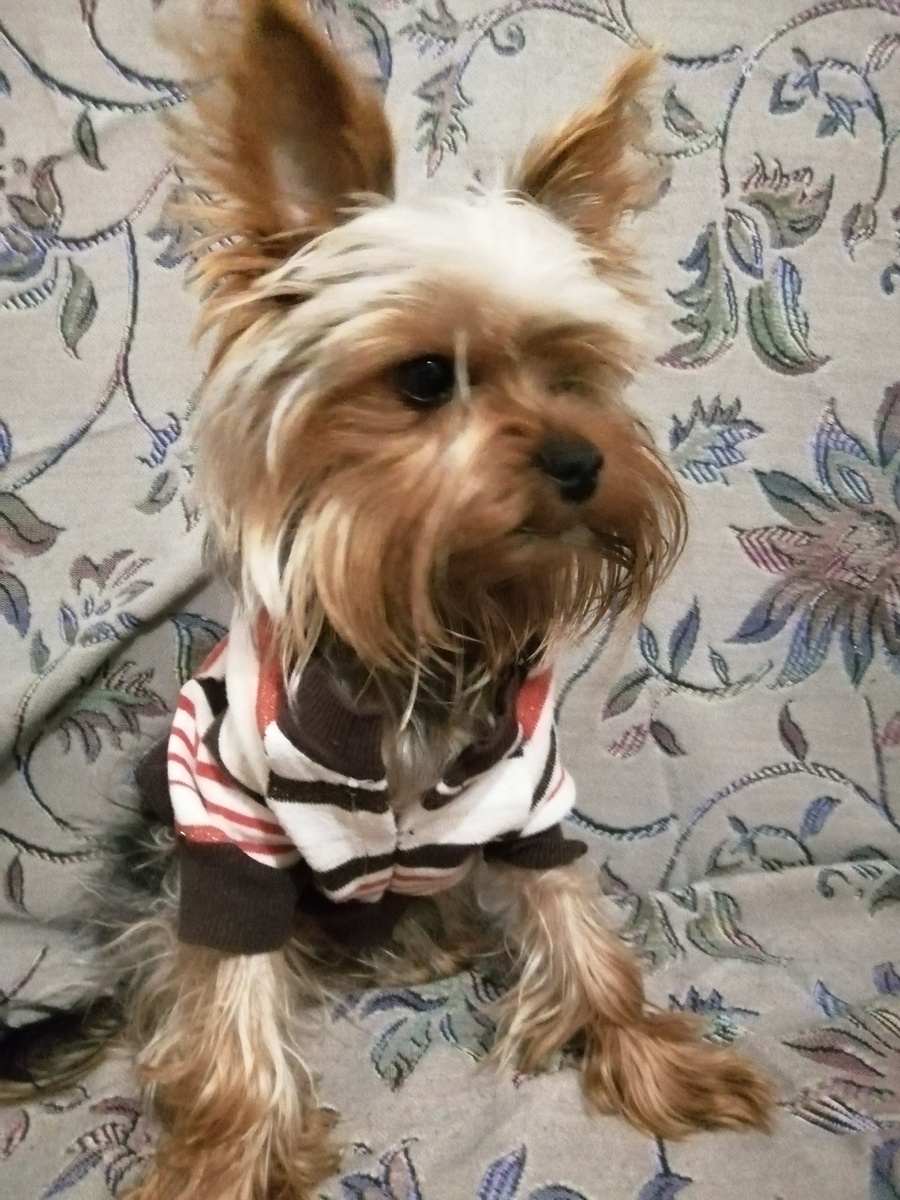 Чилл на пару лет моложе 😁 Все фото автора