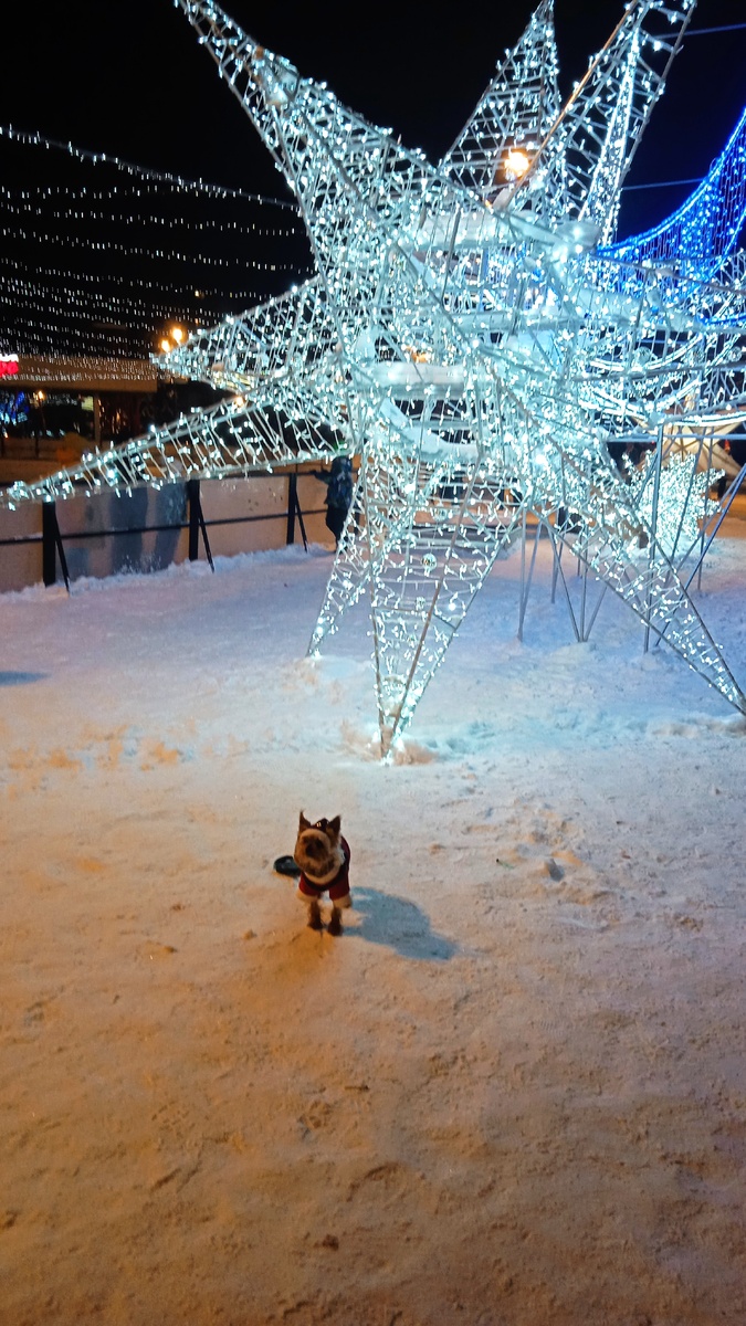 Чилл в Новогоднюю ночь