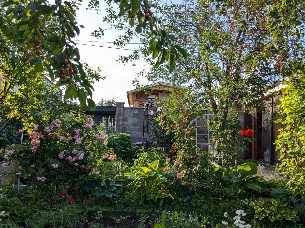 Ну, совсем же другой вид!