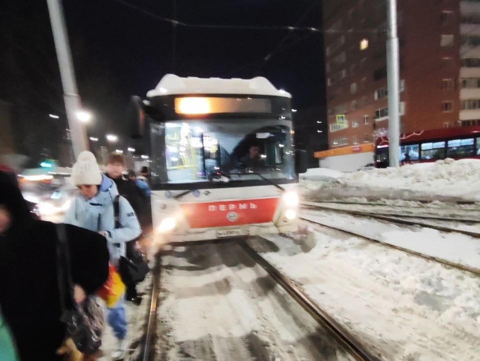    Фото: соцсети Полина Анкушина