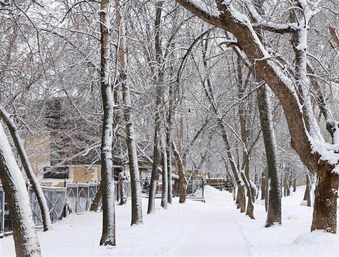    ФОТО: Белова Александра
