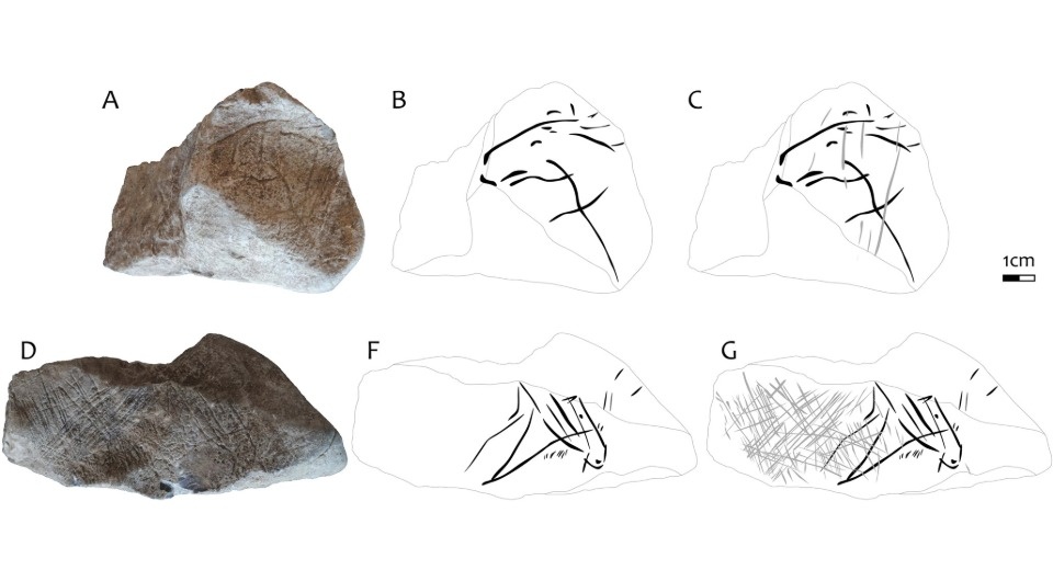   Michelle Langley et al. / Journal of Paleolithic Archaeology, 2026