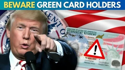    Фото: открытый источник