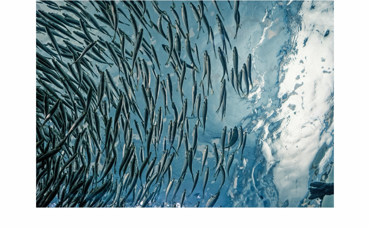   Фото: опубликовано на сайте visitkolyma.ru