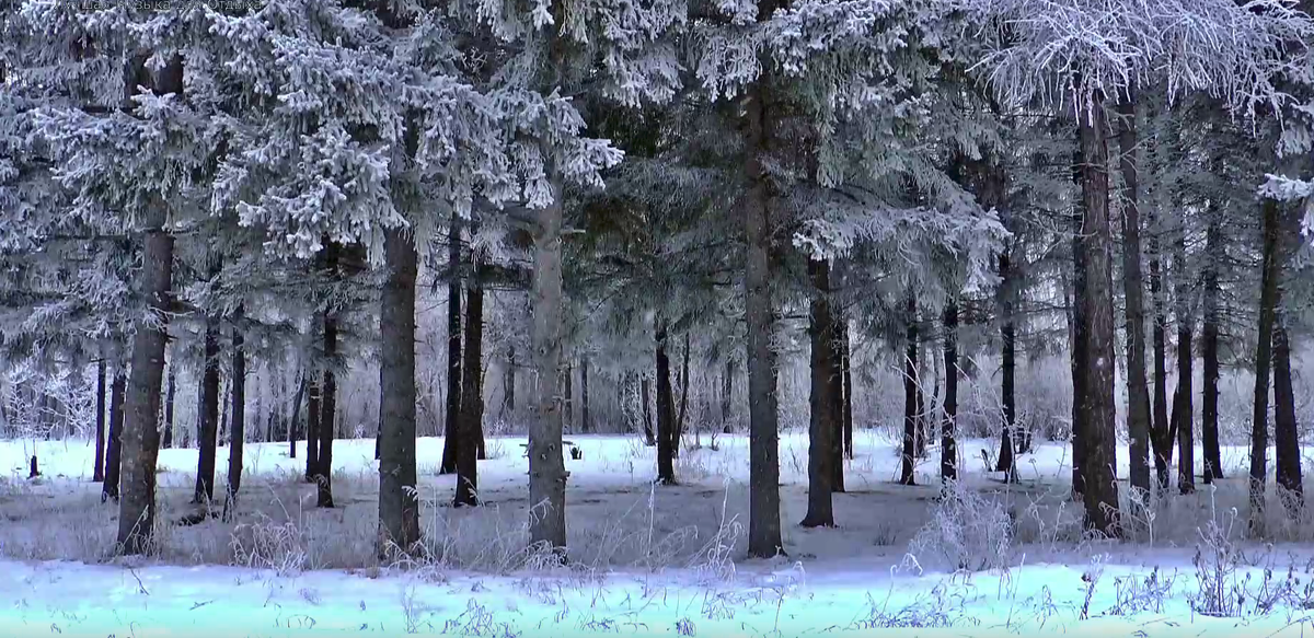 *шаблон краткого анализа в рамках Аналитики RM Иван Хельм 2.0 от
30.12.2025г.