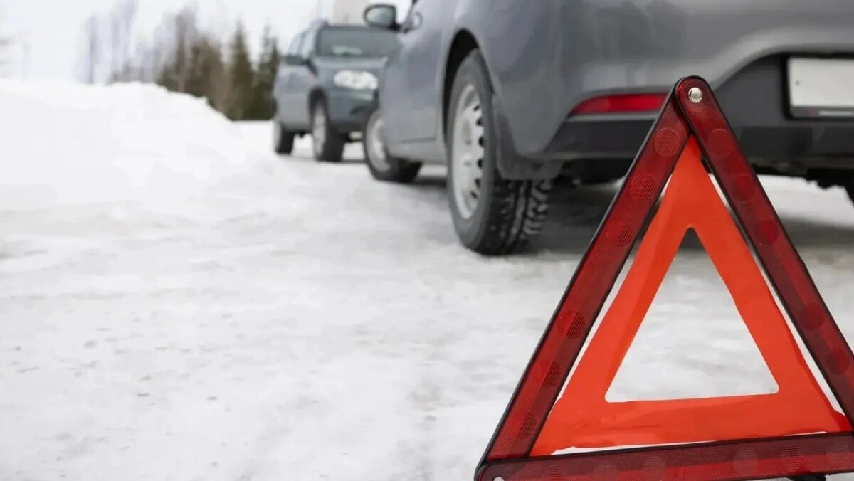    Фото: Сергей Зубков / «Ямал-Медиа»