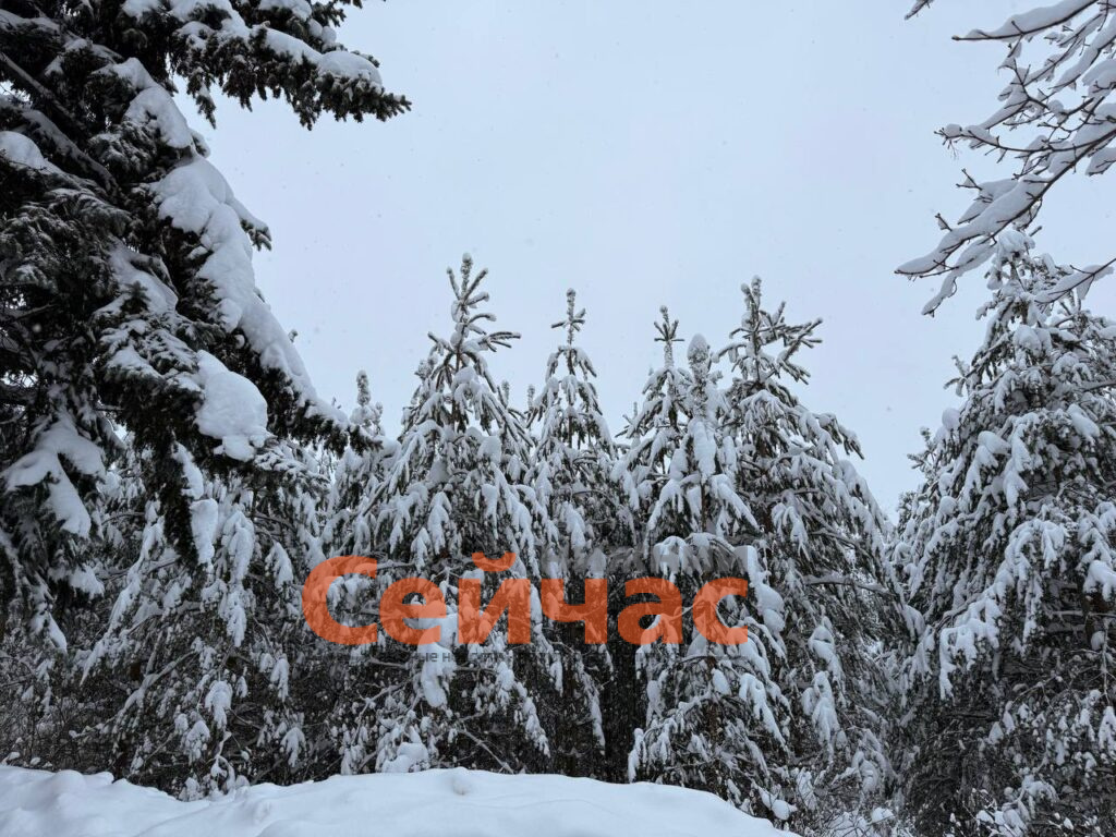    Фото: пресс-служба губернатора и правительства Нижегородской области Редакция nn-now