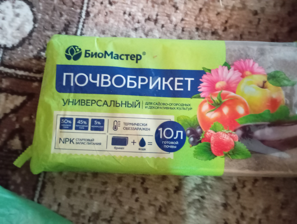 Фото автора.